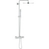 Grohe Rainshower system 310