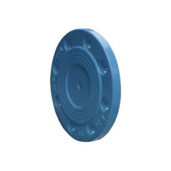 Blind Flange 100mm