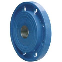 Gevind Flange DN150x2